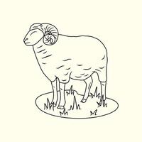 Arrowroot sheep from Indonesia. Thin line illustration. vector