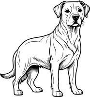 A dog is standing in a line drawing vector