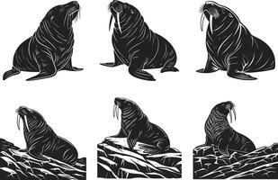 Sea Lion and Walrus Black and White Collection vector