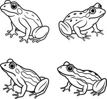 Frog artistic line work for coloring page vector