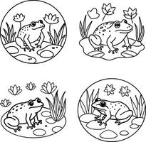 Frog graphic line art for coloring sheets vector