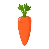 Flat carrot isolated on white. Autumn vegetable harvest. Easter design element. vector