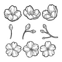 Hand Drawn Sakura Elements Outline. illustration about Nature. vector