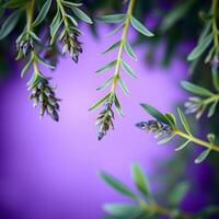 An elegant and calming composition of lavender leaves arranged in a circle, set against a soft purple background, perfect for wellness and lifestyle themes. photo