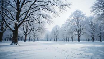 Snowy winter scene with trees and footprints on a path of snow in an empty field photo