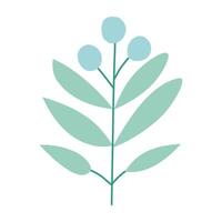 plant with leaves and berries on a white background vector