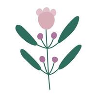 a flower with leaves and buds on a white background vector