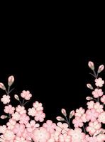 Spring background with blossoming sakura branch on black background. Vertical format A4 with copy space. vector