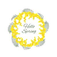 Wreath with mimosa twigs on white background. Hello Spring. Mimosa flower wreath, decorative circle composition for greeting card, illustration EPS10. vector