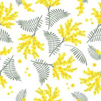 Spring seamless pattern with mimosa flowers on white background. Great for fabrics, especially for linens, wrapping papers, wallpapers. vector