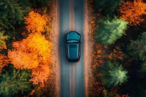 Aerial view of a car driving on an autumn road through colorful forest. photo