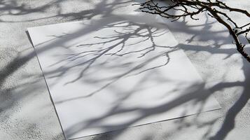 Blank paper with tree branch shadows on textured surface. photo