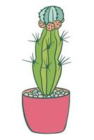 vibrant green cactus with coral accents in a pink pot, surrounded by pebbles. Perfect for stickers, decor, or gardening themes. vector
