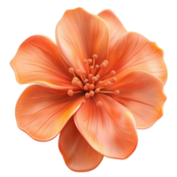 Beautiful Orange Hibiscus Flower with Soft Petals on Transparent Background png