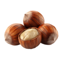 Whole Hazelnuts on Transparent Background png