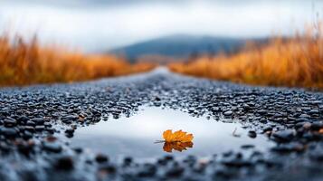 rain soaked countryside road with puddle reflecting autumn leaf, surrounded by golden grass and distant hills, evokes serene and tranquil atmosphere photo