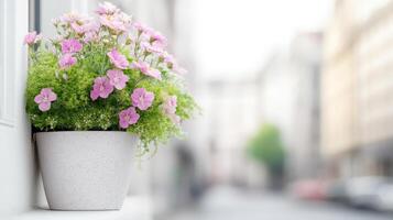 beautiful flower pot filled with pink flowers and greenery, placed on window ledge, adds charm to street view. soft focus background enhances serene atmosphere photo