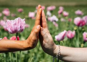 Two women's hands meet in a gentle touch, fingertips lightly brushing against each other amidst a field of pink poppies swaying gracefully in the wind. A high-quality photo capturing the softness and
