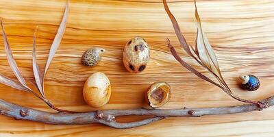 Display of quail eggs nestled beside willow branches on a rustic wooden surface photo