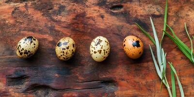 Quail eggs and willow branches artfully arranged on rustic wooden surface photo