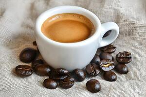 Espresso coffee in white cup on roasted beans. photo