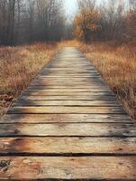 Wooden path leads to forest with fall trees, foggy use for background photo