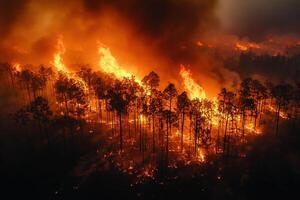 Night aerial view of wildfire burning through pine forest photo