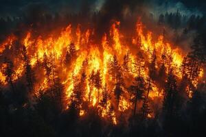 Aerial view of intense wildfire engulfing forest at night photo