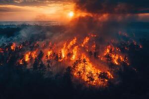 Aerial sunset view of wildfire burning forest photo