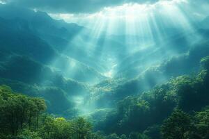 Sunbeams illuminate misty forested mountain valley photo