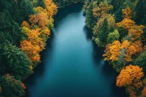 Aerial view of a serene river flowing through a vibrant autumn forest photo
