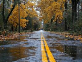 Flooded road with autumn leaves in suburban neighborhood after storm photo