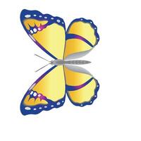 Creative Butterfly Colorful Abstract vector
