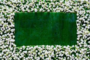 Empty space of wet banana leaf with jasmine background for Thailand Songkran festival background. photo