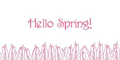 Hello spring header with hand drawn outline pink tulips. Spring, 8 march, wedding invitation, birthday background vector