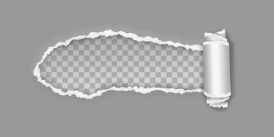 Torn folded paper strip in realistic 3d style with shadows isolated on light background. vector