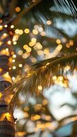 Glowing string christmas tropical casting soft illumination over lush palm tree fronds, generating dreamy bokeh effect during lights evening celebration photo
