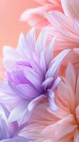 Soft pastel colored petals overlap, creating themed beautiful, textured background, ideal a romantic or spring for projects background photo