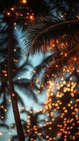 Glowing string christmas casting lights soft illumination over lush palm tree fronds, generating dreamy bokeh effect during tropical evening celebration photo