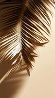 Golden abstract tropical palm leaf and elegant shadow on neutral background, evoking tropical luxury casting summer serenity photo