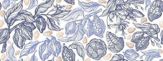 Cocoa sketch pattern Chocolate bean, leaves, fruit vector