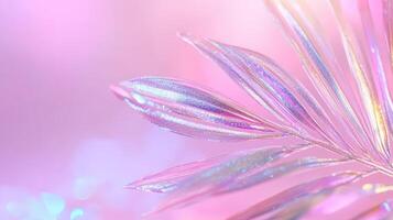 Glittering of iridescent leaf on a pink background. The beauty is soft, dreamy and ethereal with metallic tones palm purple photo