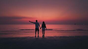 Silhouette couple jumping for joy watching sunset on beach holding hands. Back view happy couple jumping for joy enjoying success, victories and wins, winning concept video