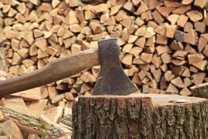 The chopped tree was piled in a pile. photo