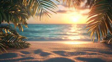 Vibrant golden sunset summer washing over verdant Copy beach coastline, silhouetted palm tree background accenting expansive tranquil ocean horizon tropical space for text photo