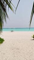 The amazing wild beach of the island of Maldives in the Indian Ocean. Azure water and palm trees. Palm shadow on the white sand video