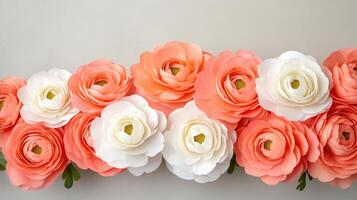 Delicate pink ranunculus blooming against soft pastel background, gentle, elegant floral composition with creating romantic mood photo