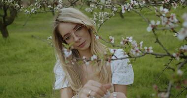 In a quiet orchard, there exists a blossoming beauty that captivates with its allure and charm video