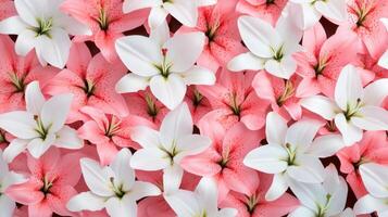 Soft watercolor white capturing delicate pink and pastel lilies blooming against muted rendering pattern background photo