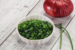 A bowl of chopped green onions and a red onion photo